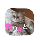 ♡ろっちゃん♡（個別スタンプ：8）