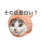 我が家のよちゅ（個別スタンプ：4）