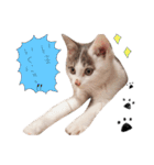 我が家のよちゅ（個別スタンプ：7）