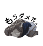Chisa's everyday 2（個別スタンプ：11）