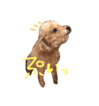 #もこみちさん。1（個別スタンプ：15）