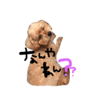 #もこみちさん。1（個別スタンプ：20）