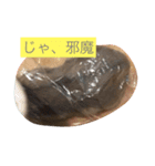 ハムスター日常（個別スタンプ：15）