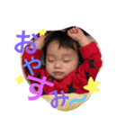 turtle land（個別スタンプ：1）
