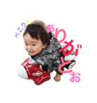 turtle land（個別スタンプ：8）