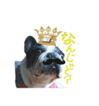 ぶん王様のオコトバ（個別スタンプ：2）