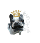 ぶん王様のオコトバ（個別スタンプ：7）