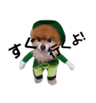 犬のコスプレ（個別スタンプ：6）