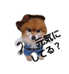 犬のコスプレ（個別スタンプ：7）