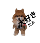 犬のコスプレ（個別スタンプ：8）
