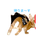ウサギのくるみ（個別スタンプ：9）