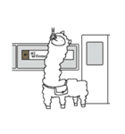 Who Ate Up All The Alpaca [KR]（個別スタンプ：13）