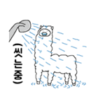 Who Ate Up All The Alpaca [KR]（個別スタンプ：24）