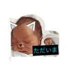 しょーりくん どんどん 増えてますよ（個別スタンプ：4）