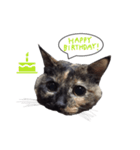 ふきだしさびねこ（個別スタンプ：6）