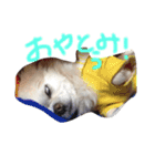 アップくん（個別スタンプ：9）