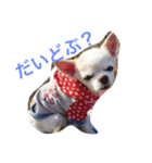 アップくん（個別スタンプ：12）