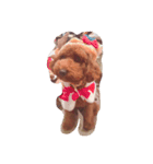 ハルくんですー！（個別スタンプ：1）