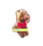 ハルくんですー！（個別スタンプ：9）