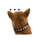 柴犬の柴田です。（個別スタンプ：3）