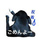 犬6匹のスタンプ 2（個別スタンプ：9）