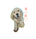cat dog frogs（個別スタンプ：3）