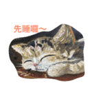 cat dog frogs（個別スタンプ：7）