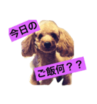 ネネたんスタンプ1（個別スタンプ：1）