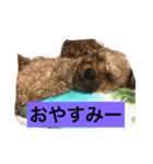 ネネたんスタンプ1（個別スタンプ：3）