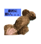 ネネたんスタンプ1（個別スタンプ：4）