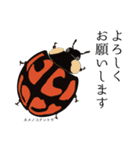 楽しい昆虫採集スタンプ1（個別スタンプ：4）