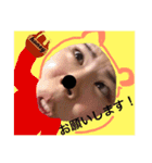 はさみのはさみによるはさみのためのはさみ（個別スタンプ：6）