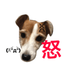 LAVI＆RURU＆RIVA！！（個別スタンプ：10）
