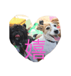 LAVI＆RURU＆RIVA！！（個別スタンプ：15）