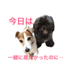 LAVI＆RURU＆RIVA！！（個別スタンプ：16）