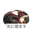 LAVI＆RURU＆RIVA！！（個別スタンプ：21）