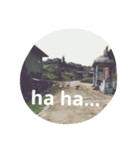 Luru's word with beautiful island Matsu.（個別スタンプ：4）