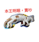 Rong the cat（個別スタンプ：3）
