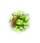 愛しのレッドチェリーシュリンプ（個別スタンプ：6）
