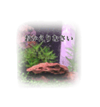愛しのレッドチェリーシュリンプ（個別スタンプ：23）