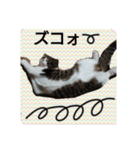ペットの福ちゃん第2弾（個別スタンプ：3）