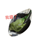 Parrot girl（個別スタンプ：3）