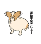 じじばばの毎日（個別スタンプ：37）
