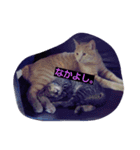ちょびすけ（個別スタンプ：16）