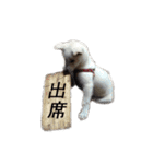 紀州犬 リキ（個別スタンプ：6）