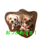 ヨーキー兄弟 2（個別スタンプ：1）