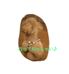 ボン＆ミュウミュウ（個別スタンプ：8）