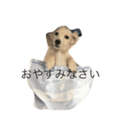 カニンヘンと（個別スタンプ：2）