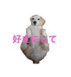 カニンヘンと（個別スタンプ：3）