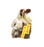 カニンヘンと（個別スタンプ：4）